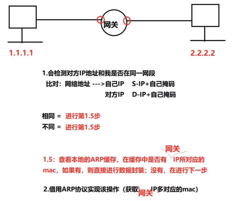 image-20241224220926400