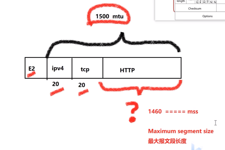 image-20241228134239451